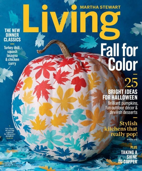 Martha Stewart Living Just $5!