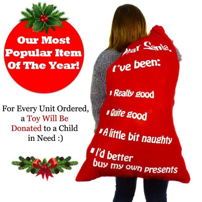 Mystery Santa's Christmas Bag of Awesome! Just $19.99!