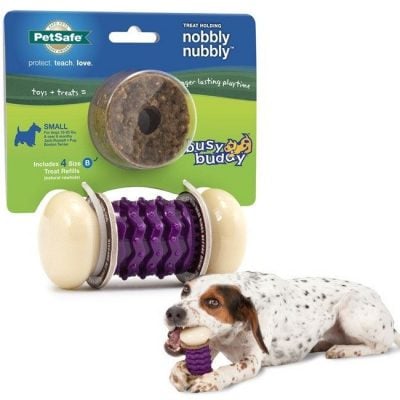 PetSafe Busy Buddy Nobbly Nubbly Dog Toy Only $4.99 Plus FREE Shipping!