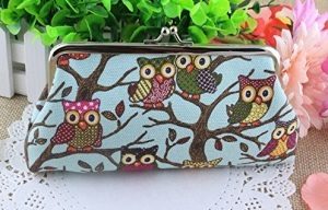 CUTE Owl Design Canvas Clutch Bags ONLY $3.10 + FREE Shipping!