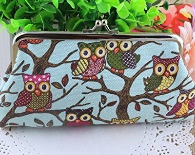 CUTE Owl Canvas Clutch ONLY $3.10 SHIPPED!