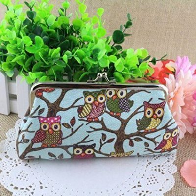 Owl Clutch Purse Only $3.15 Shipped!