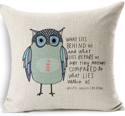 Decorbox Cotton Decorative Owl Sayings Pillowcase Just $5 Down From $39!