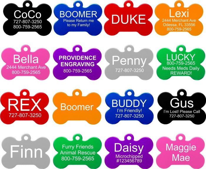 Pet ID Tag Only $3.70 Plus FREE Shipping!