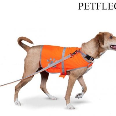 Reflective Dog Safety Vest Just $8.99 Ships FREE!