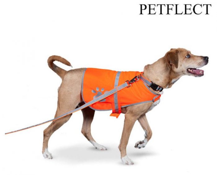 Reflective Dog Safety Vest Just $8.99 Ships FREE!