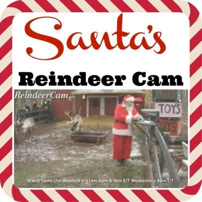 Watch Santa And His Reindeer On The Reindeer Cam!