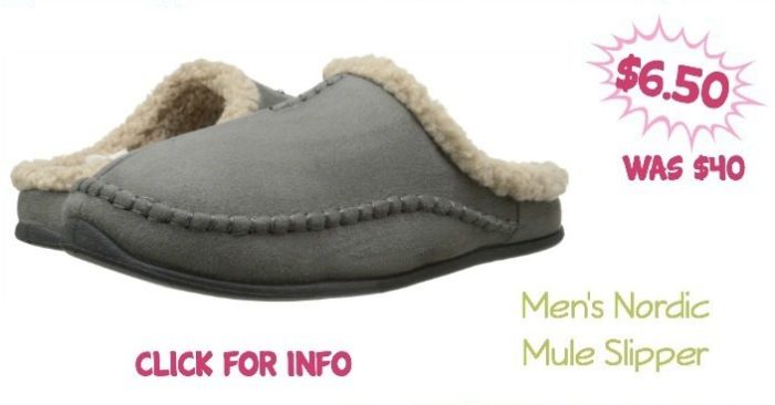 Men's Nordic Mule Slipper As Low As $6.50! (Was $40)