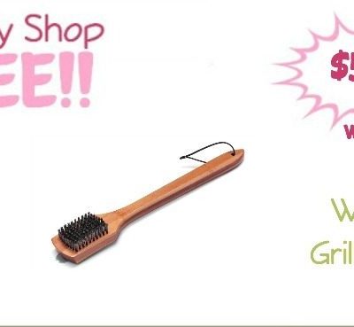 Weber Grill Brush