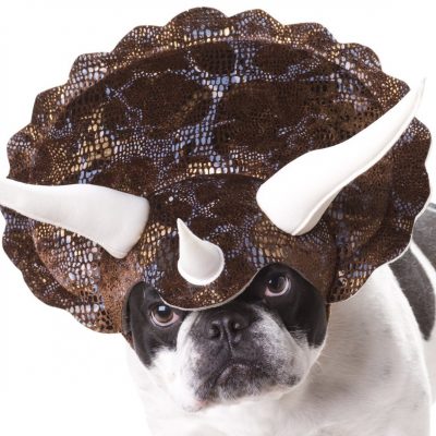 Animal Planet Triceratops Dog Costume $7.99! (Reg. $12.99!)