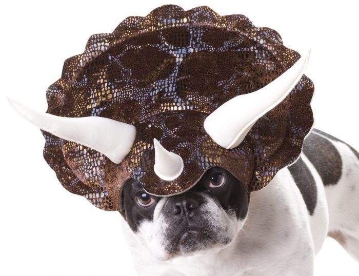 Animal Planet Triceratops Dog Costume $7.99! (Reg. $12.99!)
