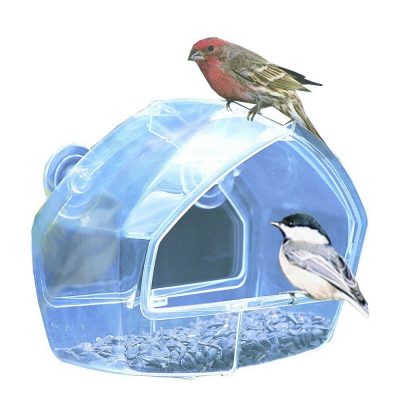 Birdscapes Clear Window Feeder Just $7.74! (Reg. $13.99!)