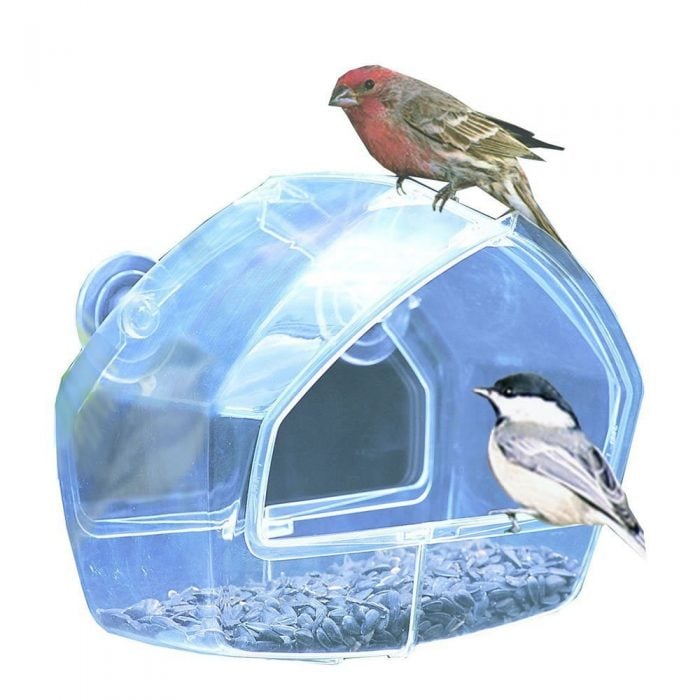Birdscapes Clear Window Feeder Just $7.74! (Reg. $13.99!)